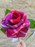 Love of Scotland Tartan Stem Rose