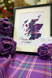 Memories of Scotland Tartan Rose